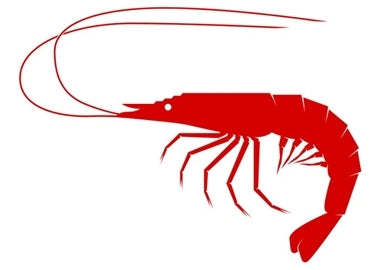 Shrimp Powder