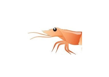 Shrimp Essence