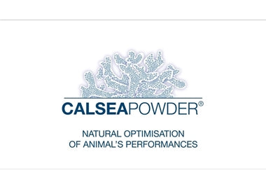 Natural Calcified Red Algae Powder