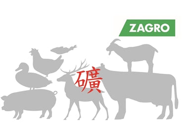 Zagro Comprehensive Minerals Collection